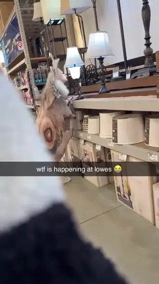 lilghoul leaked video preview