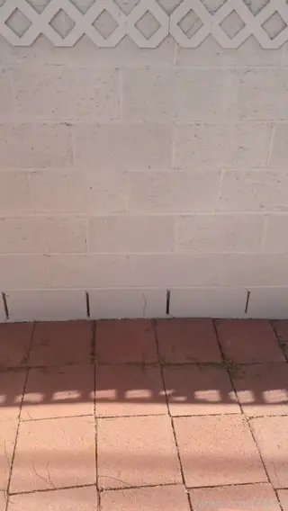 lillyvig leaked video preview