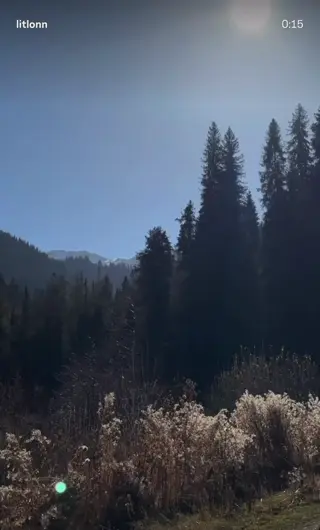 litlonn leaked video preview