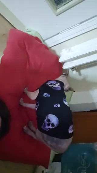 lucrelisa leaked video, frame 4