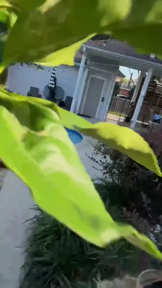 madison_skyy leaked video, frame 2