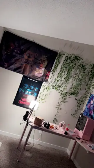 maidibear leaked video preview