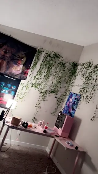 maidibear leaked video, frame 3