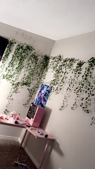 maidibear leaked video, frame 6