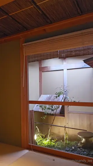 mandy_lee leaked video, frame 2