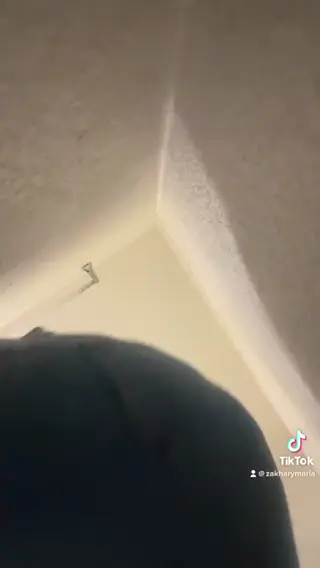 mariazakhary leaked video, frame 4