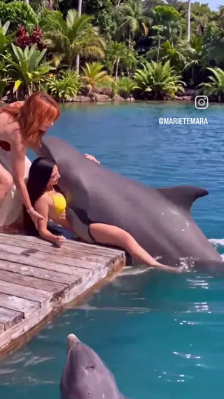 marietemara leaked video preview