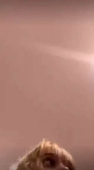 marissaeve leaked video, frame 1