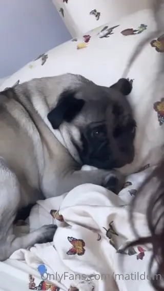 matildem leaked video, frame 6