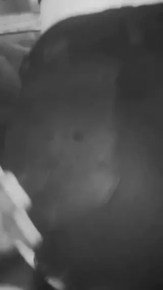mayyskii leaked video, frame 6