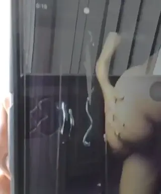 mazizi220 leaked video preview