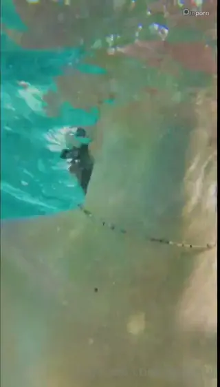 megnut leaked video preview