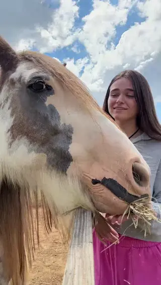 megnut leaked video preview