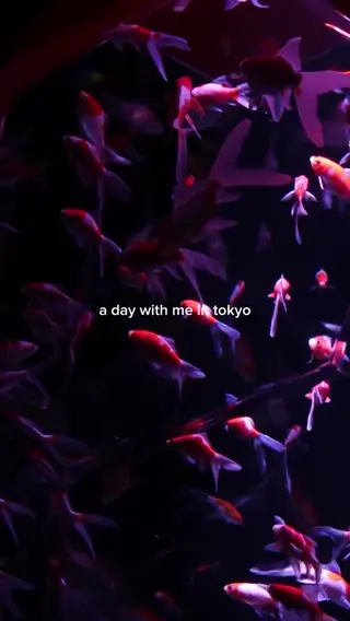 miafitz leaked video preview
