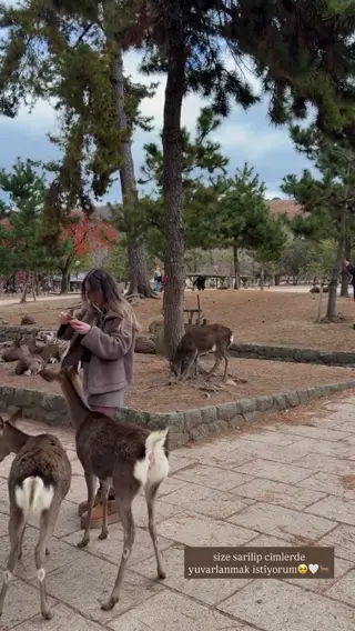 miafitz leaked video preview