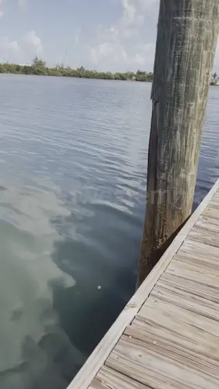 midwestemma leaked video, frame 1