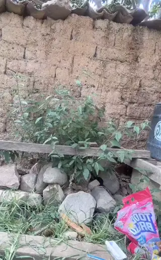 mily_gonzales_equilea leaked video, frame 2