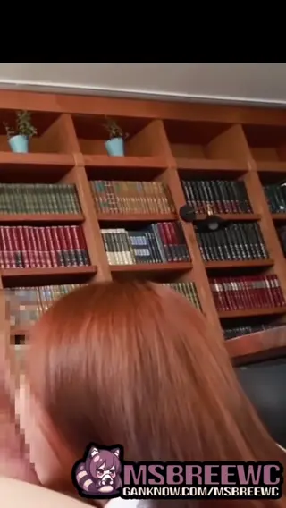 msbreewc leaked video, frame 1