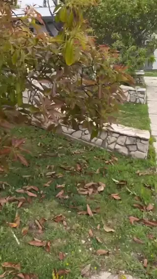 nataliexking leaked video preview
