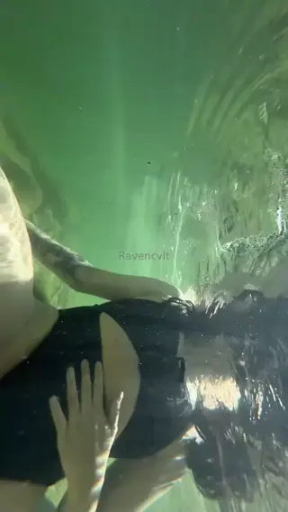 nomeagradass leaked video, frame 4