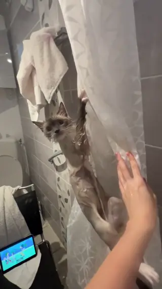 nym leaked video, frame 1