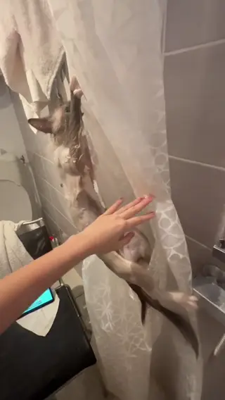 nym leaked video, frame 3