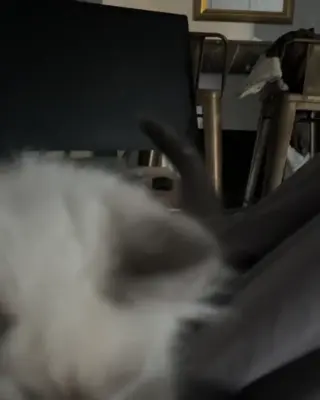 nym leaked video preview
