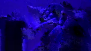 ofscarll leaked video, frame 1