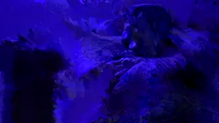 ofscarll leaked video, frame 2