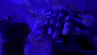 ofscarll leaked video, frame 3