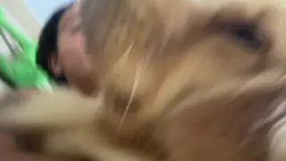 paulanobrez leaked video, frame 1