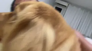 paulanobrez leaked video, frame 4