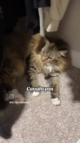 peytiescameraroll leaked video preview