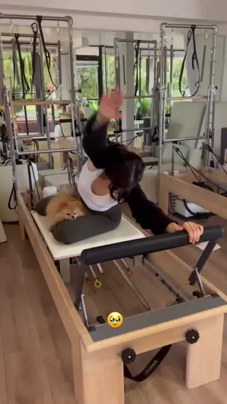 pokimane leaked video preview