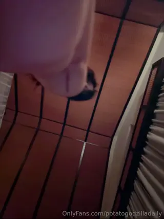 potatogodzilla leaked video preview