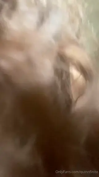 quinnfinite leaked video preview