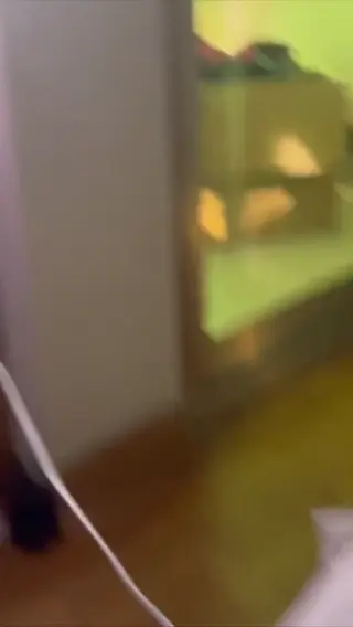 rincospl leaked video, frame 4