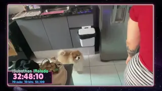 riyuuka leaked video, frame 4