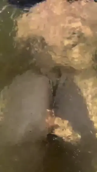 rosajadeli leaked video, frame 6