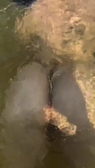 rosajadeli leaked video, frame 6