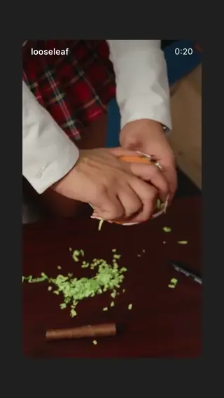 rubirose leaked video, frame 4