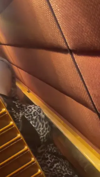 ryma_offf leaked video, frame 5