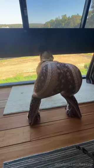 safiyaax leaked video, frame 1