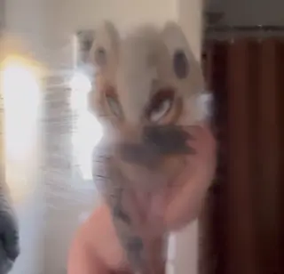 sageisatrout leaked video, frame 1