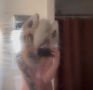 sageisatrout leaked video, frame 6