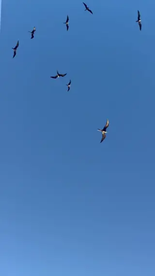 savage_ufc leaked video, frame 3