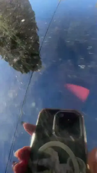 savaschultz leaked video preview