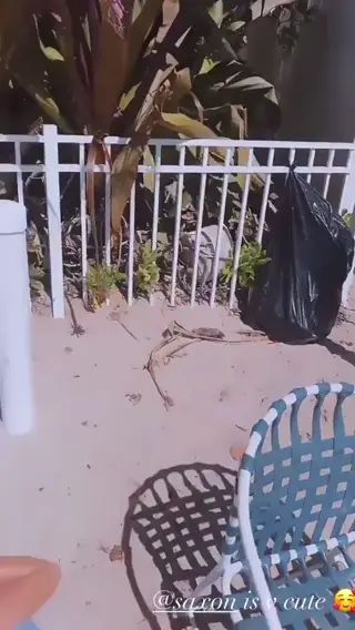 saxon leaked video, frame 2