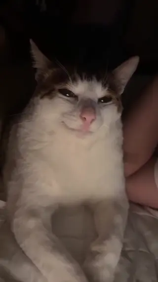 schyler_reighn leaked video, frame 2