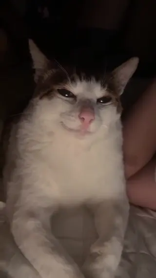 schyler_reighn leaked video, frame 3